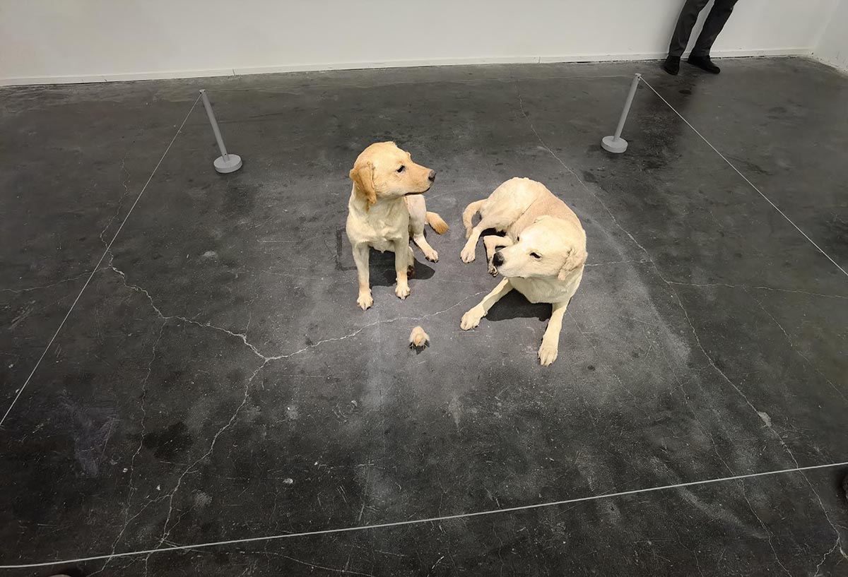 images/art/2021-12-19 莫瑞吉奥卡特兰 最后的审判/6.jpg